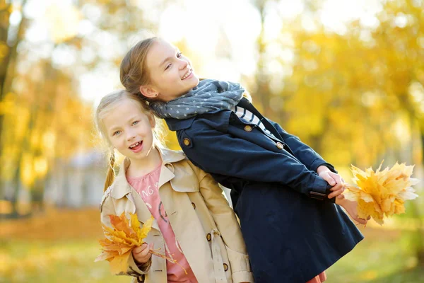 Deux jolies jeunes sœurs s'amusent le beau jour d'automne. Enfants heureux jouant dans le parc d'automne. Enfants ramassant feuillage jaune automne . — Photo