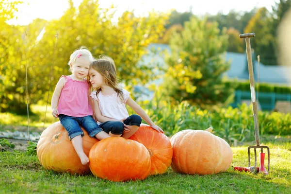 Twee kleine zusters zitten op enorme pompoenen op een pompoen patch. Kinderen plukken pompoenen bij Country Farm op warme najaarsdag. — Stockfoto