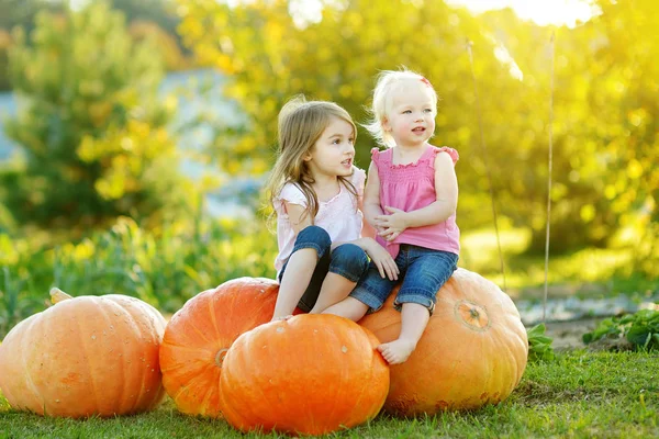 Twee kleine zusters zitten op enorme pompoenen op een pompoen patch. Kinderen plukken pompoenen bij Country Farm op warme najaarsdag. — Stockfoto