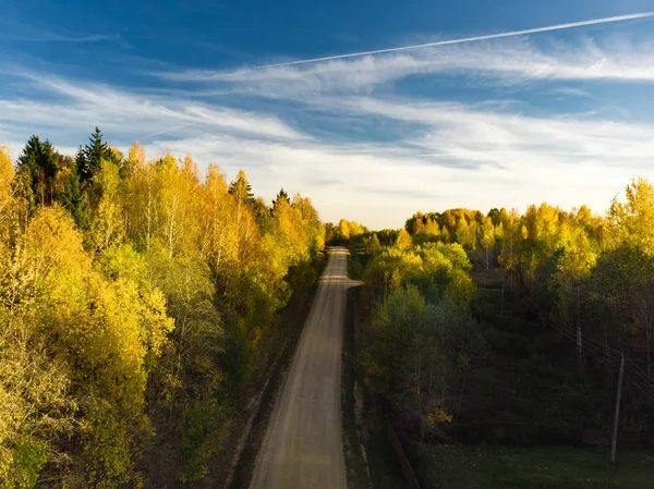 Vista aérea da floresta de outono com árvores verdes e amarelas. Floresta caduca e conífera mista. Lindas paisagens de outono perto de Vilnius, Lituânia — Fotografia de Stock