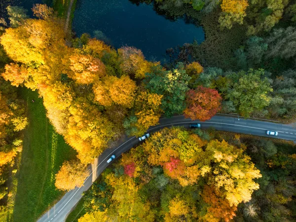 Birds eye view of autumn forest and a small lake. Aerial forest scene in autumn with orange and yellow foliage. Fall scenery in Vilnius, Lithuania.