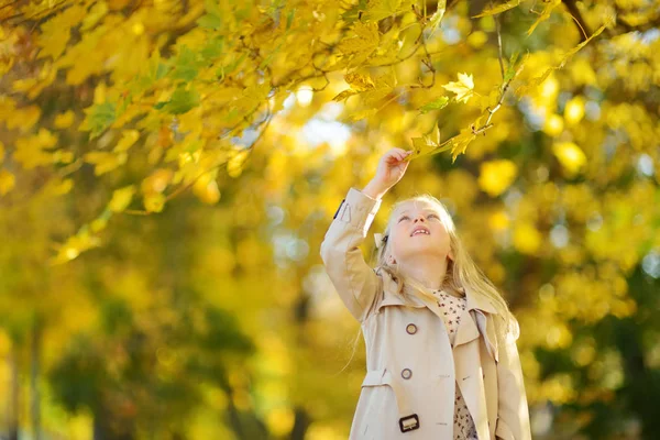 Adorable chica joven divirtiéndose en hermoso día de otoño. Feliz niño jugando en el parque de otoño. Niño recogiendo follaje de otoño amarillo . — Foto de Stock