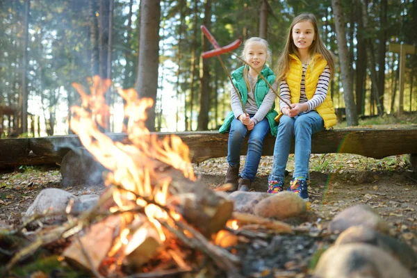 Schattige jonge zusters roosteren hotdogs op stokken bij vreugdevuur. Kinderen die plezier hebben in kampvuur. Kamperen met kinderen in Fall forest. — Stockfoto