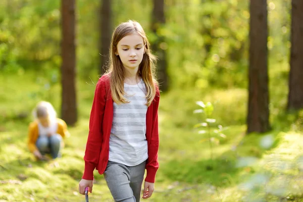 Deux jolies jeunes sœurs s'amusent lors d'une randonnée en forêt lors d'une belle journée d'été. Enfants explorant la nature. Loisirs familiaux actifs avec enfants . — Photo