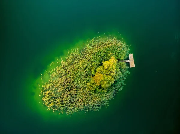 Bovenaanzicht van een klein eiland op de luchtfoto. Birds Eye uitzicht op prachtige groene wateren van het meer van Gela omgeven door dennenbossen. — Stockfoto