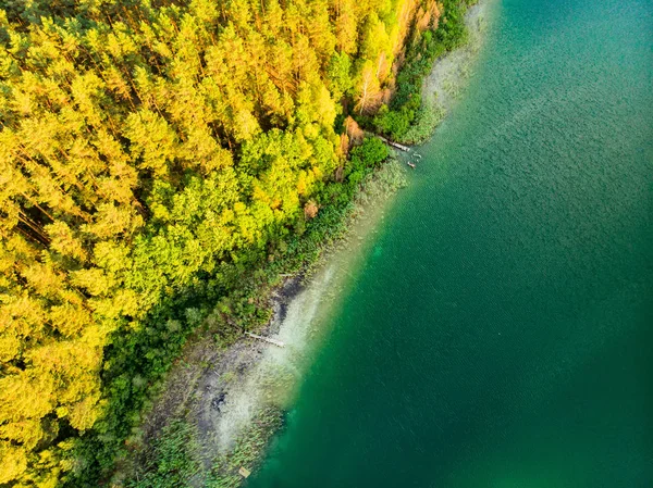 Vista aérea de cima para baixo de belas águas verdes do lago Gela. Vista panorâmica do lago esmeralda cênica rodeado por florestas de pinheiros . — Fotografia de Stock