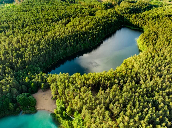 Vista aérea de belas águas verdes do lago Gela. Vista panorâmica do lago esmeralda cênica rodeado por florestas de pinheiros . — Fotografia de Stock