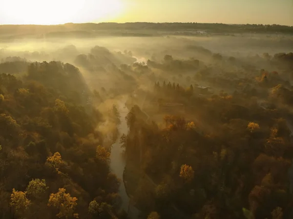 Vacker dimmig skogs scen på hösten med apelsin och gult bladverk. Antenn tidig morgon vy över träd och flod. — Stockfoto