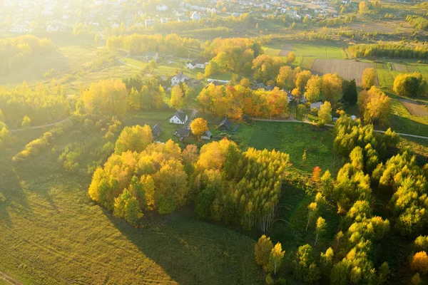 Aerial top down view of autumn forest with green and yellow trees. Mixed deciduous and coniferous forest. Beautiful fall scenery in Vilnius, Lithuania — Stock Photo, Image