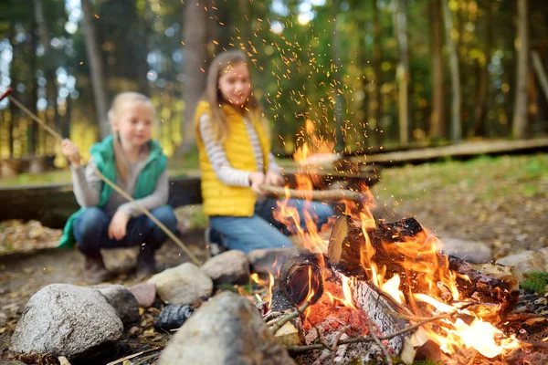 Cute young sisters roasting hotdogs on sticks at bonfire. Children having fun at camp fire. Camping with kids in fall forest.