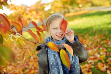 Güzel sonbahar gününde eğlenen sevimli genç kız. Sonbahar parkında oynayan mutlu çocuk. Sarı sonbahar yaprakları toplayan çocuk.