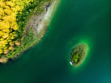 Küçük bir adanın havadan yukarıdan aşağıya görünümü. Çam ormanları ile çevrili Gela Gölü'nün güzel yeşil suları Kuşlar göz görünümü.