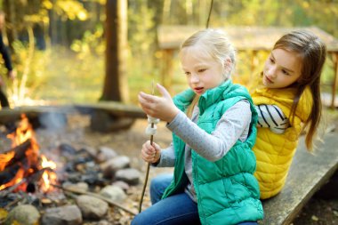 Sevimli genç kız kardeşler şenlik ateşinde marshmallow kavuruyorlar. Kamp ateşinde eğlenen çocuklar. Sonbahar ormanında çocuklarla kamp.