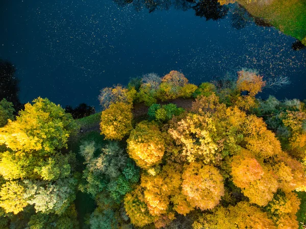 Vista de olhos de pássaros de floresta de outono e um pequeno lago. Cena de floresta aérea no outono com folhagem laranja e amarela. Cenário de queda em Vilnius, Lituânia . — Fotografia de Stock