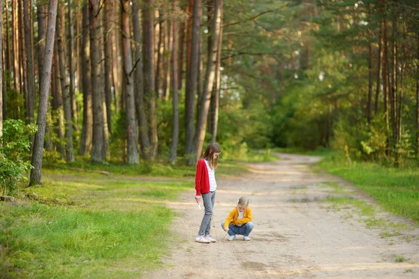 Två söta unga systrar som har roligt under skogs vandringen på vacker sommardag. Barn som utforskar naturen. Aktiv familjesemester med barn. — Stockfoto