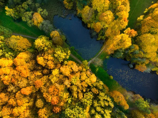 Vista de olhos de pássaros de floresta de outono e um pequeno lago. Cena de floresta aérea no outono com folhagem laranja e amarela. Cenário de queda em Vilnius, Lituânia . — Fotografia de Stock