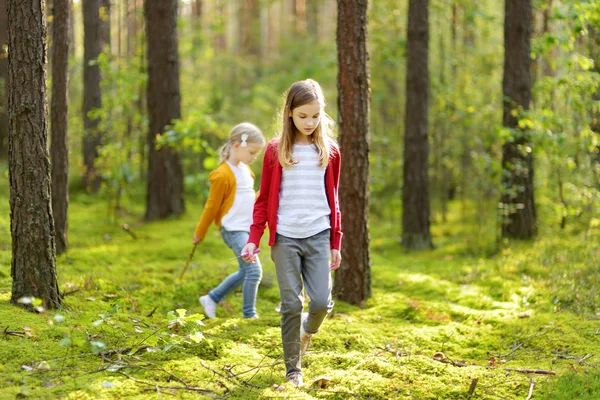 Dwie śliczne młode siostry bawią się podczas wędrówki po lesie w pięknym letnim dniu. Dzieci odkrywają naturę. Aktywny wypoczynek rodzinny z dziećmi. — Zdjęcie stockowe