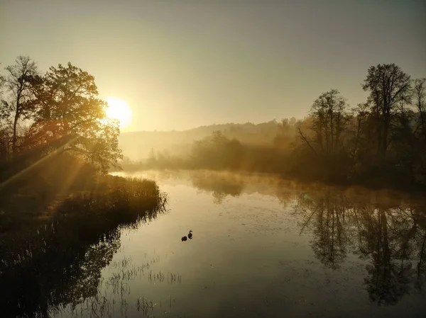 Vacker dimmig skogs scen på hösten med apelsin och gult bladverk. Antenn tidig morgon vy över träd och flod. — Stockfoto