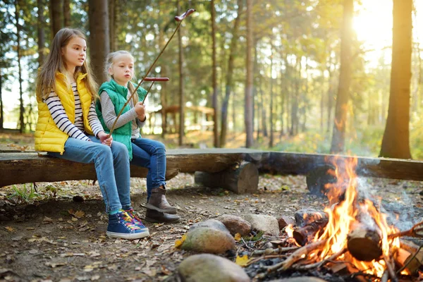 Jolies jeunes sœurs rôtissant des hot-dogs sur des bâtons au feu de joie. Les enfants s'amusent au feu de camp. Camping avec enfants en forêt d'automne . — Photo