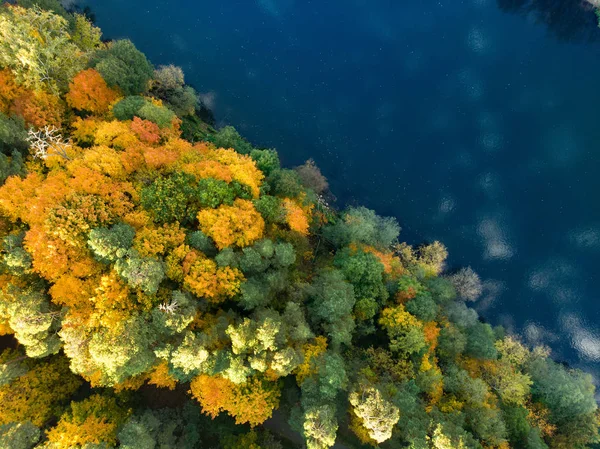 Birds eye view of autumn forest and a small lake. Aerial forest scene in autumn with orange and yellow foliage. Fall scenery in Vilnius, Lithuania.