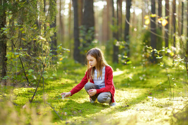 Cute young girl having fun during forest hike on beautiful summer day. Child exploring nature.