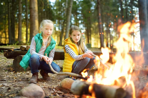 Bonitas hermanas jóvenes asando perritos calientes en palos en la hoguera. Niños divirtiéndose en la fogata. Camping con niños en bosque otoñal . — Foto de Stock