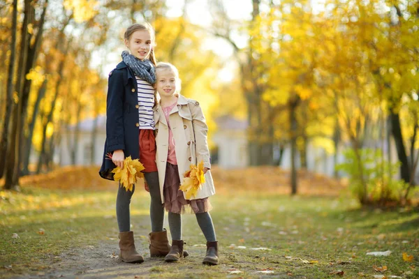 Dos hermanas jóvenes lindas divirtiéndose en hermoso día de otoño. Niños felices jugando en el parque de otoño. Niños recogiendo follaje de otoño amarillo . —  Fotos de Stock