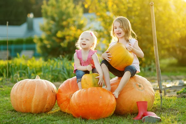 Dos hermanas pequeñas sentadas en calabazas enormes en un huerto de calabazas. Niños recogiendo calabazas en la granja rural en el cálido día de otoño . — Foto de Stock