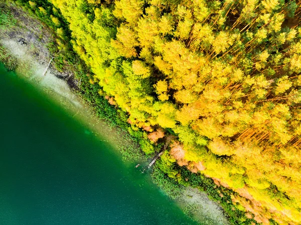 Vista aérea de cima para baixo de belas águas verdes do lago Gela. Vista panorâmica do lago esmeralda cênica rodeado por florestas de pinheiros . — Fotografia de Stock