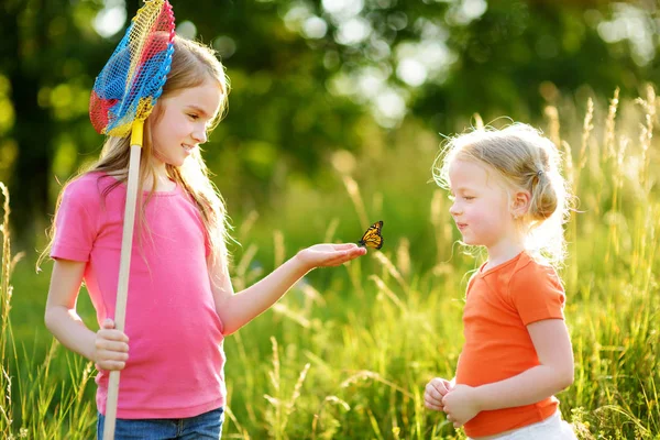 Deux petites sœurs attrapant des papillons et des insectes avec leurs filets. Enfants explorant la nature par une journée d'été ensoleillée . — Photo