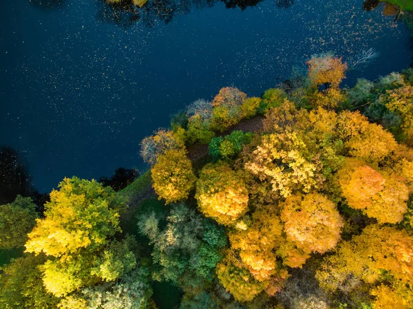 Vista de olhos de pássaros de floresta de outono e um pequeno lago. Cena de floresta aérea no outono com folhagem laranja e amarela. Cenário de queda em Vilnius, Lituânia . — Fotografia de Stock