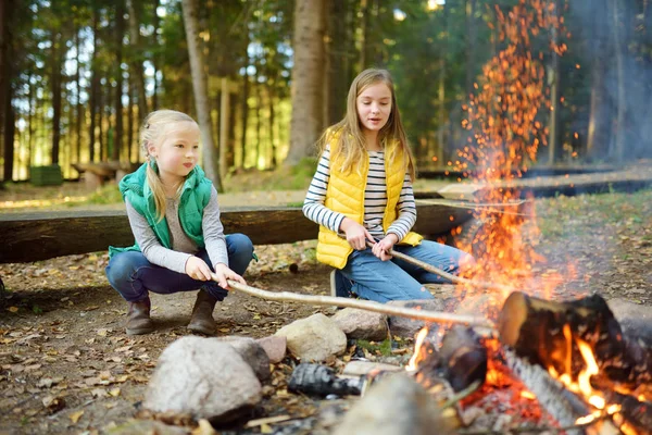 Schattige jonge zusters roosteren hotdogs op stokken bij vreugdevuur. Kinderen die plezier hebben in kampvuur. Kamperen met kinderen in Fall forest. — Stockfoto