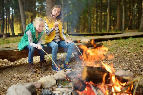 Bonitas hermanas jóvenes asando perritos calientes en palos en la hoguera. Niños divirtiéndose en la fogata. Camping con niños en bosque otoñal . — Foto de Stock