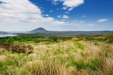 Connemara Milli Parkı, bataklık ve fundalıklar için ünlü, onun koni şeklindeki dağ tarafından izlenen, Diamond Hill, County Galway, İrlanda