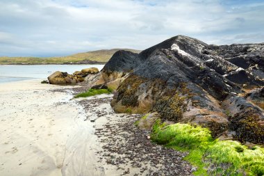 Abbey Adası, Derrynane Tarihi Parkı arazi yama, Derrynane Abbey ve çimento kalıntıları ile ünlü, County Kerry bulunan, İrlanda