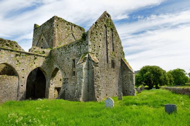 Hore Abbey, Cashel Kayası yakınlarındaki yıkık Sarnıç manastırı, İrlanda