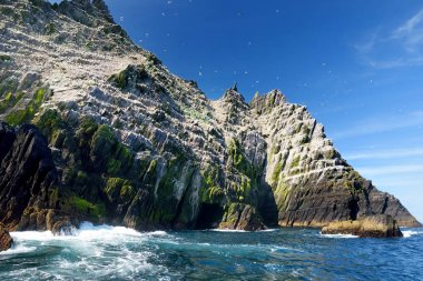 Küçük Skellig Adası, birçok çeşitli deniz kuşları ve dünyanın ikinci büyük gannets kolonisi ev, County Kerry, İrlanda. Kerry rota İrlandalı Ring üzerinde turistik.