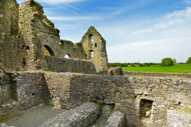 Hore Abbey, Cashel Kayası yakınlarındaki yıkık Sarnıç manastırı, İrlanda