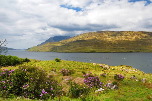Národní park Connemara, známý svými bogy, vřesem a jezery, hrabství Galway, Irsko — Stock fotografie