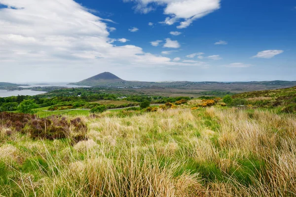 Connemara Nemzeti Park, híres a mocsarak és fenyérek, nézte át a kúp alakú hegy, Diamond Hill, County Galway, Írország — Stock Fotó