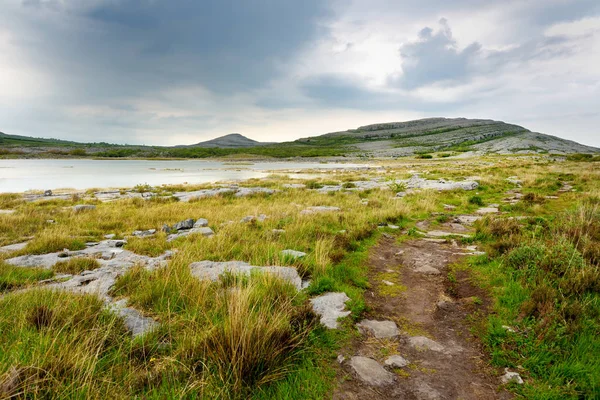 Espectacular paisaje de la región de Burren del Condado de Clare, Irlanda. Piedra caliza kárstica expuesta en el Parque Nacional Burren . — Foto de Stock