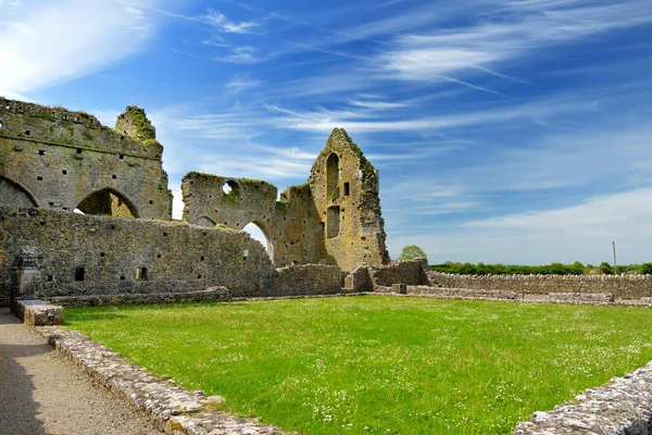 Hore Abbey, Cashel Kayası yakınlarındaki yıkık Sarnıç manastırı, İrlanda — Stok fotoğraf