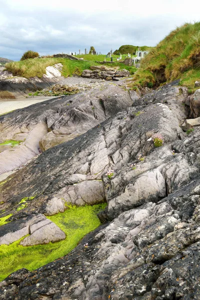 Abteiinsel, das Stück Land im historischen Park von Derrynane, berühmt für die Ruinen der Abtei und des Friedhofs von Derrynane, in der Grafschaft Kerry, Irland — Stockfoto