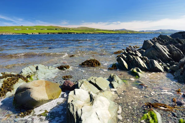 Rivage rugueux et rocheux le long de la célèbre route Ring of Kerry. Péninsule d'Iveragh, comté de Kerry, Irlande . — Photo