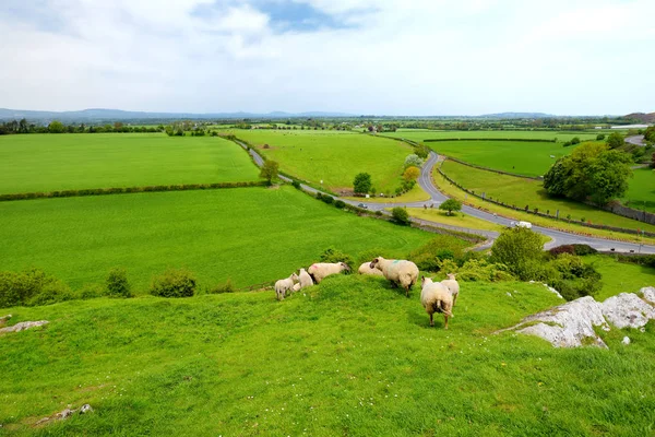 Vista panorámica de un sinfín de exuberantes pastos y tierras de cultivo de Irlanda. Campo irlandés con campos verdes esmeralda y prados. Paisaje rural . — Foto de Stock