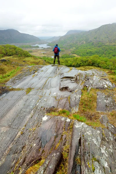 Randonneur admirant la beauté du parc national Killarney au belvédère de Lady's View. Une des plus impressionnantes vues sur l'Anneau de Kerry, Irlande . — Photo