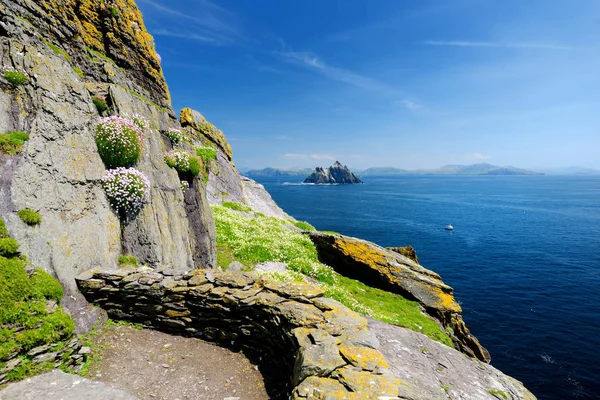 Skellig Michael vagy nagy Skellig, otthont a romos maradványait egy keresztény kolostor. Lakott a különböző tengeri madarak. UNESCO világörökségi helyszín, Írország. — Stock Fotó