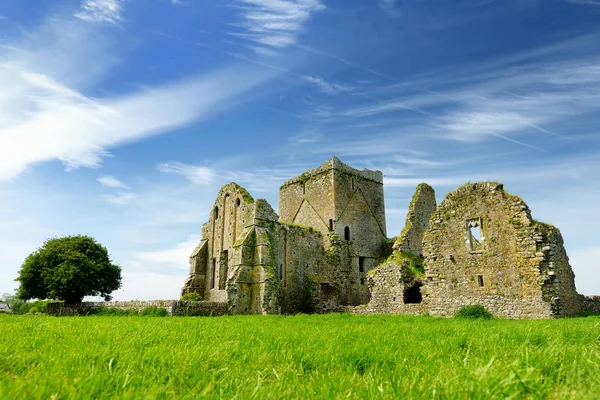 Hore Abbey, ruined Cistercian monastery near the Rock of Cashel, Ireland — Stock Photo, Image