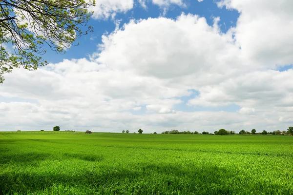 Vista panorámica de un sinfín de exuberantes pastos y tierras de cultivo de Irlanda. Campo irlandés con campos verdes esmeralda y prados. Paisaje rural . —  Fotos de Stock