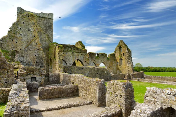 HORE Abbey, romos ciszterci kolostor közelében, a Rock of Cashel, Írország — Stock Fotó